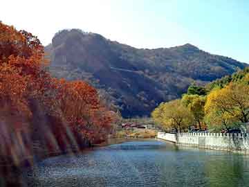 武汉建材发展商会会长，引领城市建筑未来